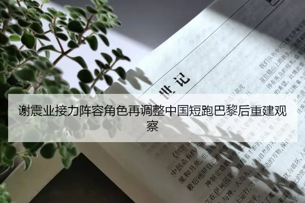 谢震业接力阵容角色再调整中国短跑巴黎后重建观察
