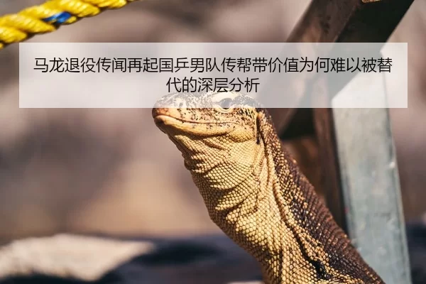 马龙退役传闻再起国乒男队传帮带价值为何难以被替代的深层分析