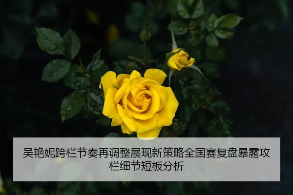 吴艳妮跨栏节奏再调整展现新策略全国赛复盘暴露攻栏细节短板分析