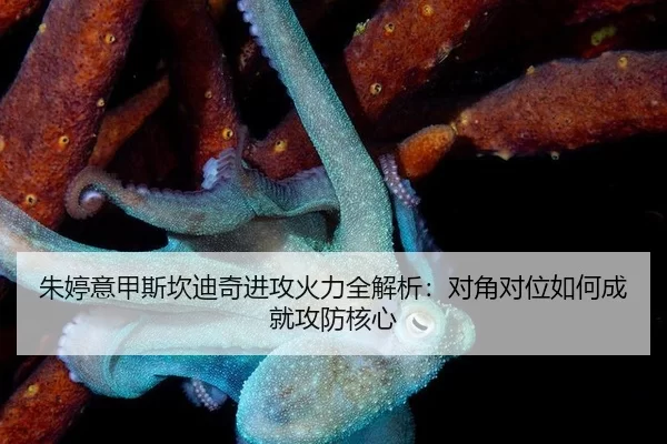zhu-ting-yi-jia-si-kan-di-qi-jin-gong-huo-li-quan-jie-xi-dui-jiao-dui-wei-ru-he-cheng-jiu-gong-fang-he-xin-2-581.jpg