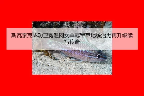 斯瓦泰克成功卫冕温网女单冠军草地统治力再升级续写传奇